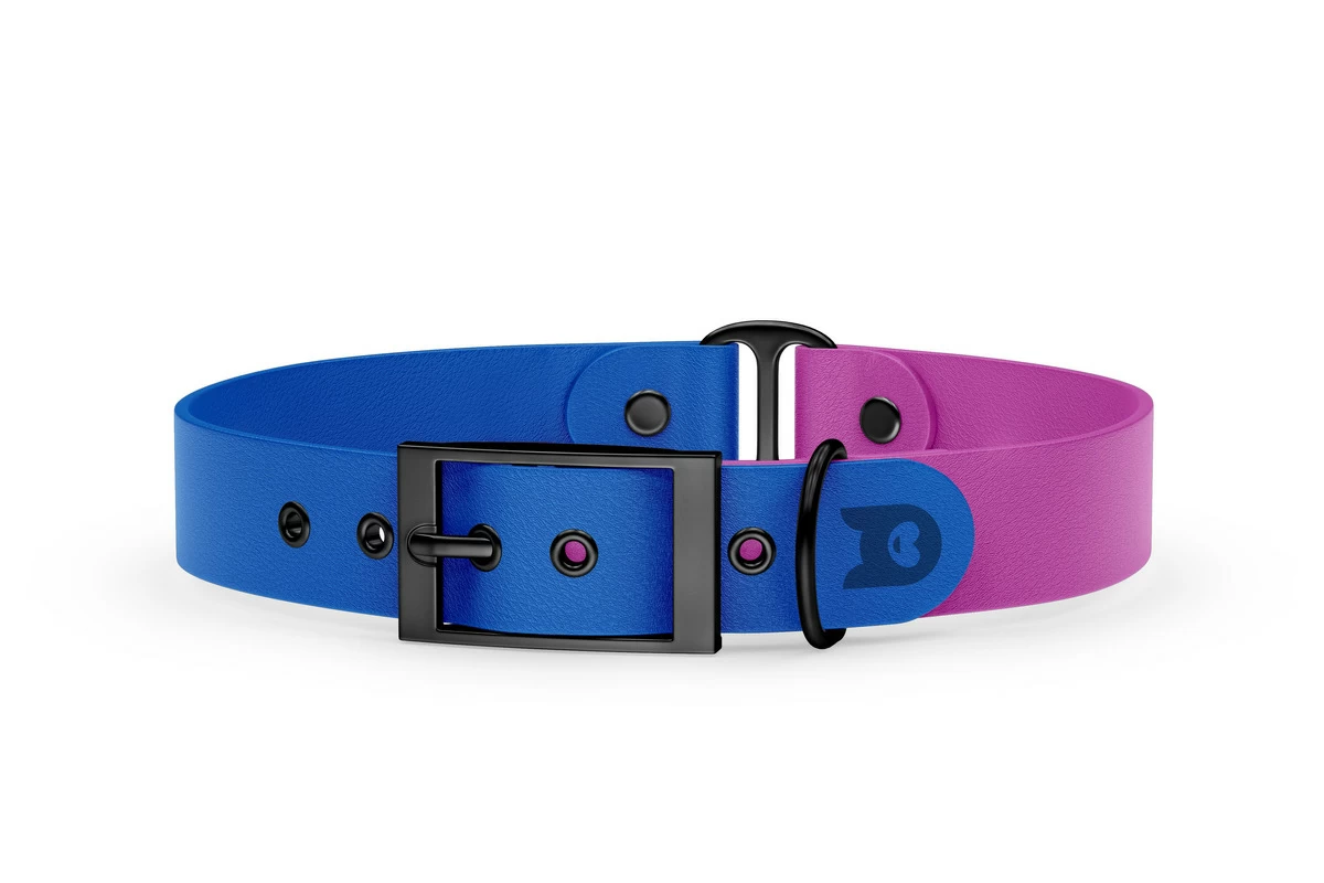 Duo-Halsband für Hunde: Blau & Hellviolett mit Schwarz-Komponenten