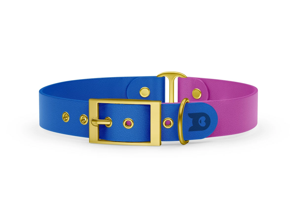 Duo-Halsband für Hunde: Blau & Hellviolett mit Gold-Komponenten