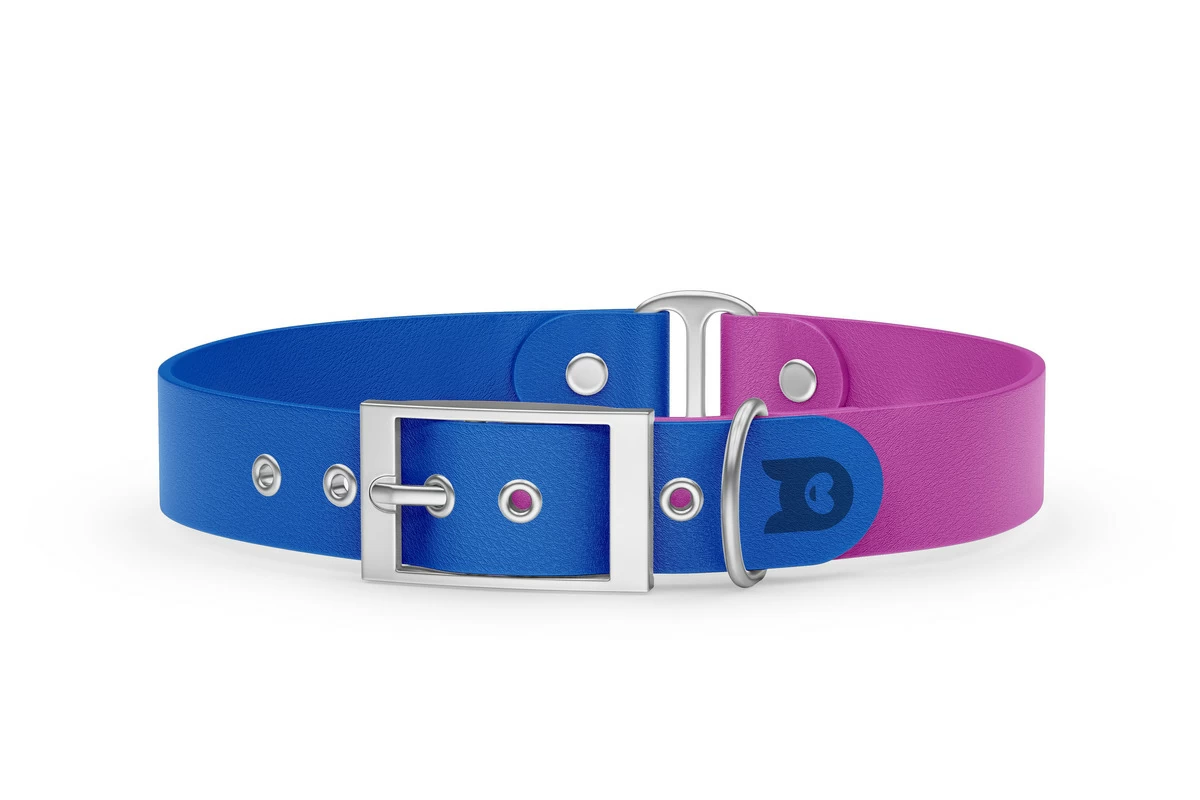 Duo-Halsband für Hunde: Blau & Hellviolett mit Silber-Komponenten