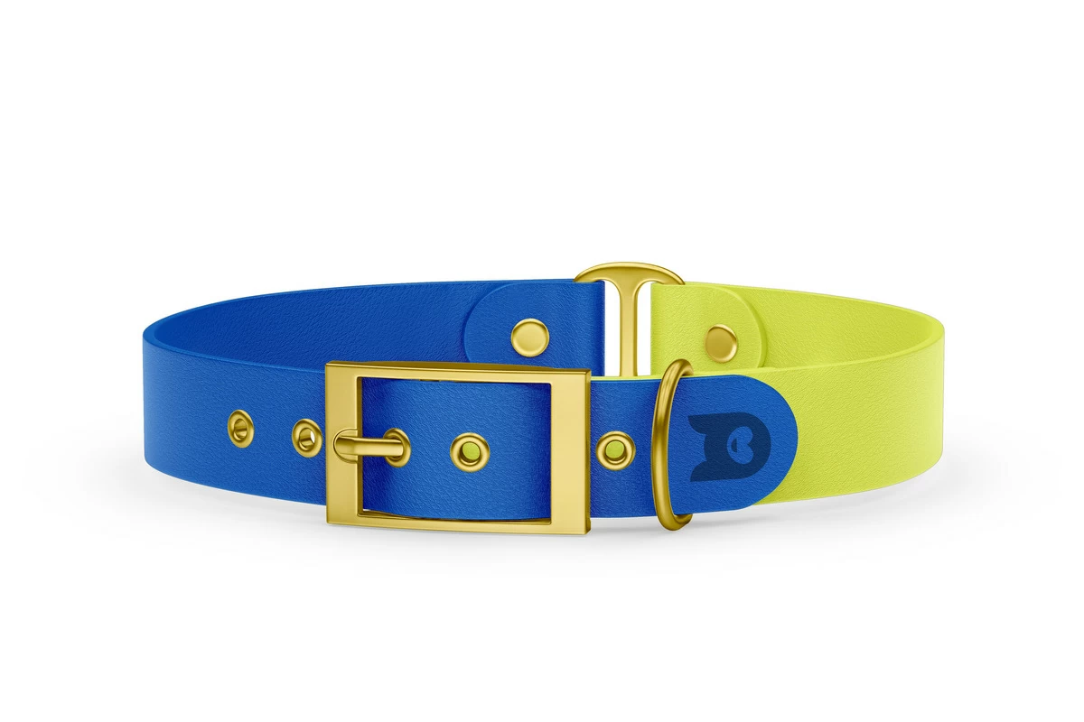 Duo-Halsband für Hunde: Blau & Neongelb mit Gold-Komponenten