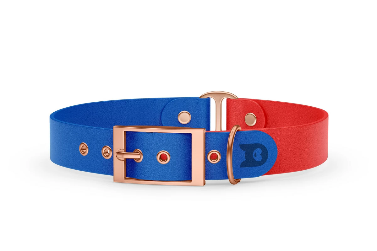 Duo-Halsband für Hunde: Blau & Rot mit Rosegold-Komponenten