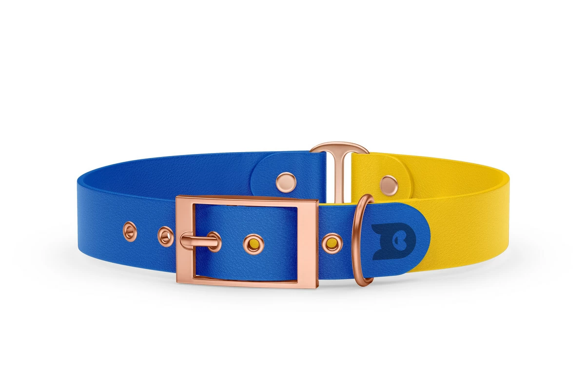 Duo-Halsband für Hunde: Blau & Gelb mit Rosegold-Komponenten