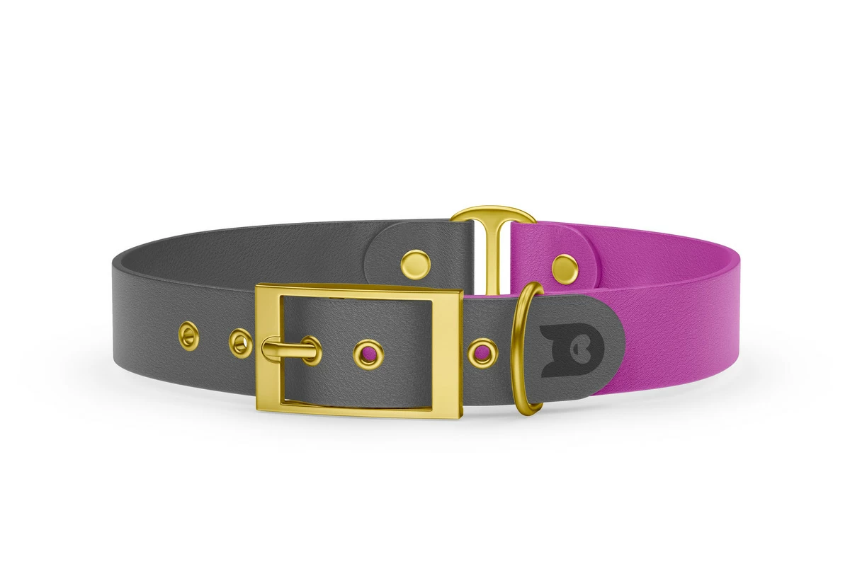 Duo-Halsband für Hunde: Grau & Hellviolett mit Gold-Komponenten