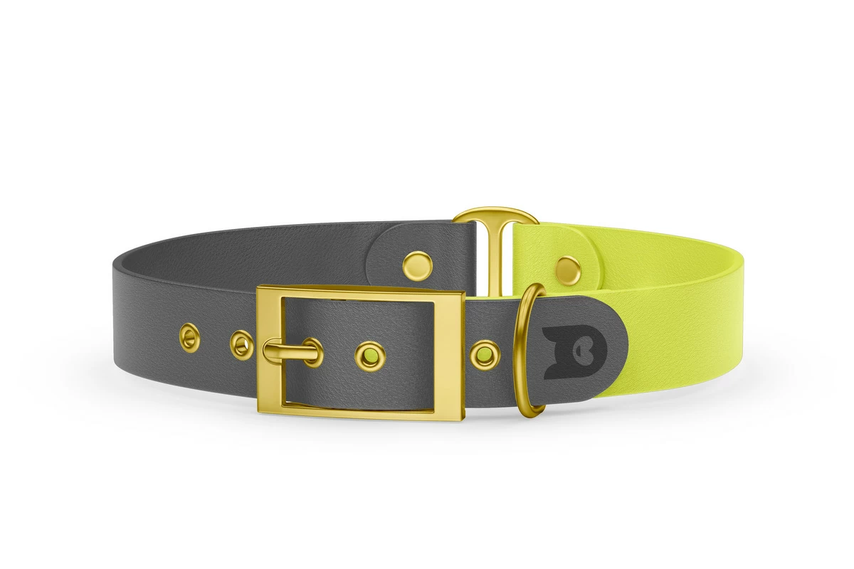 Duo-Halsband für Hunde: Grau & Neongelb mit Gold-Komponenten