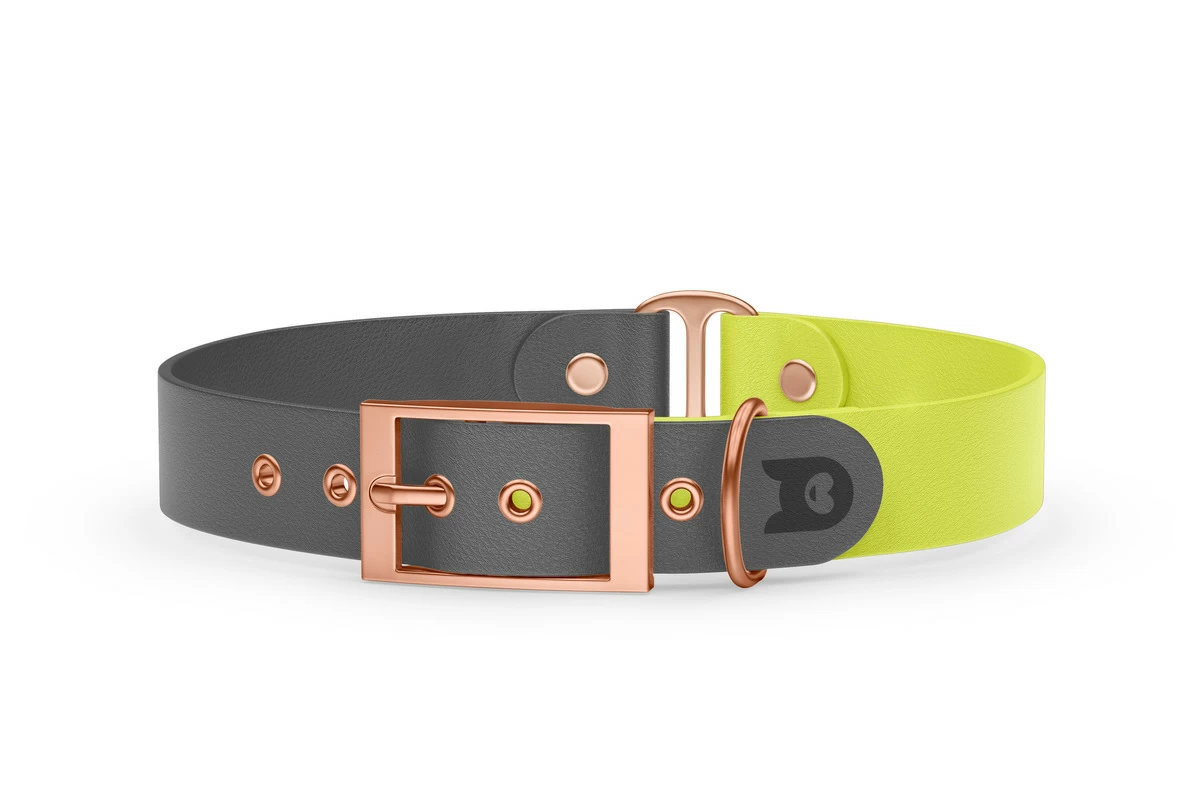 Duo-Halsband für Hunde: Grau & Neongelb mit Rosegold-Komponenten
