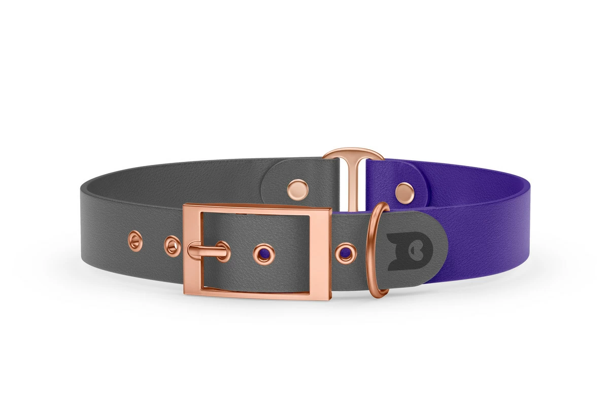 Duo-Halsband für Hunde: Grau & Violett mit Rosegold-Komponenten