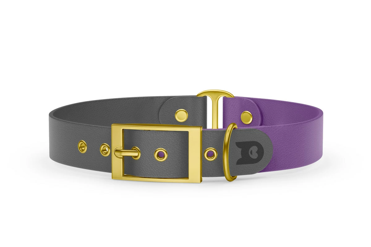 Duo-Halsband für Hunde: Grau & Purpur mit Gold-Komponenten