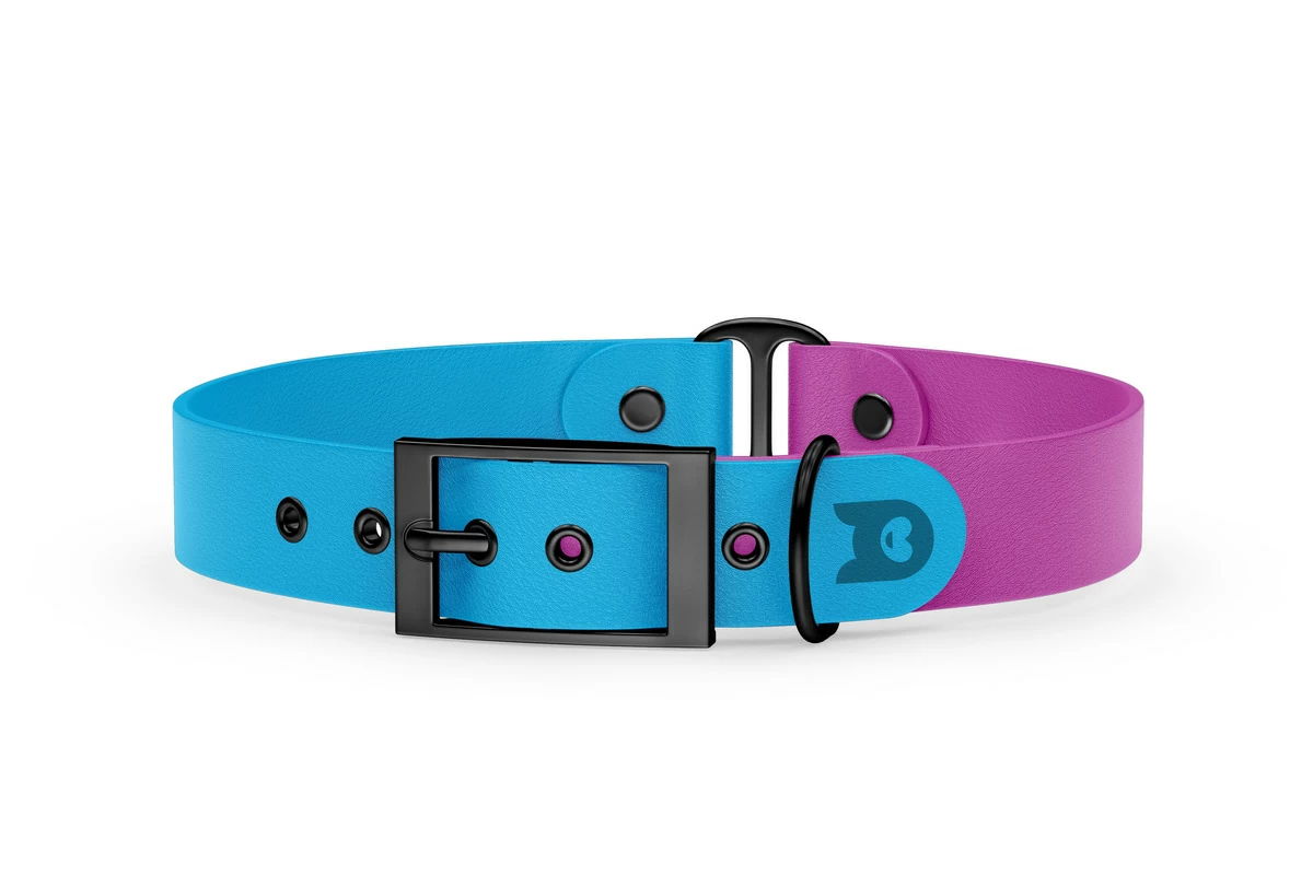 Duo-Halsband für Hunde: Hellblau & Hellviolett mit Schwarz-Komponenten