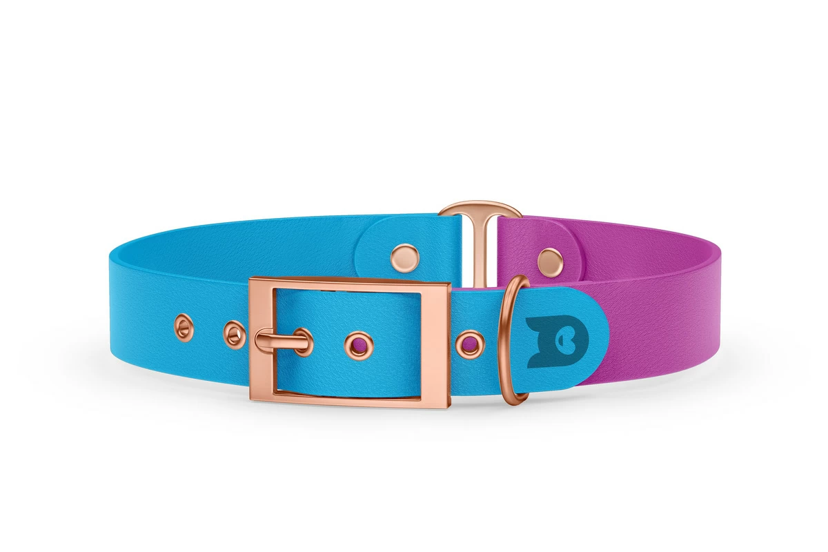 Duo-Halsband für Hunde: Hellblau & Hellviolett mit Rosegold-Komponenten