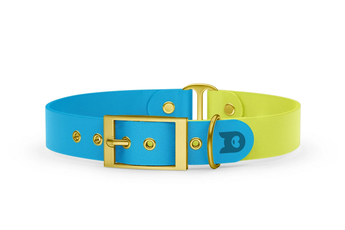 Duo-Halsband für Hunde: Hellblau & Neongelb mit Gold-Komponenten