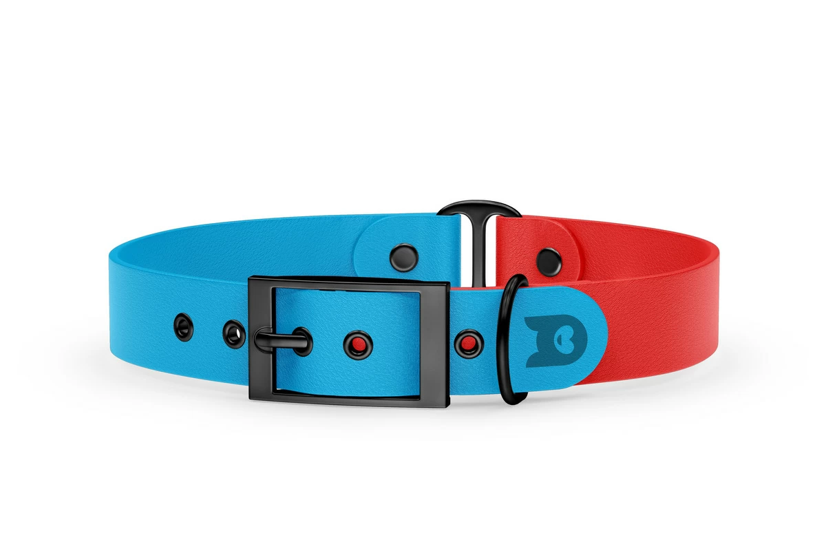 Duo-Halsband für Hunde: Hellblau & Rot mit Schwarz-Komponenten