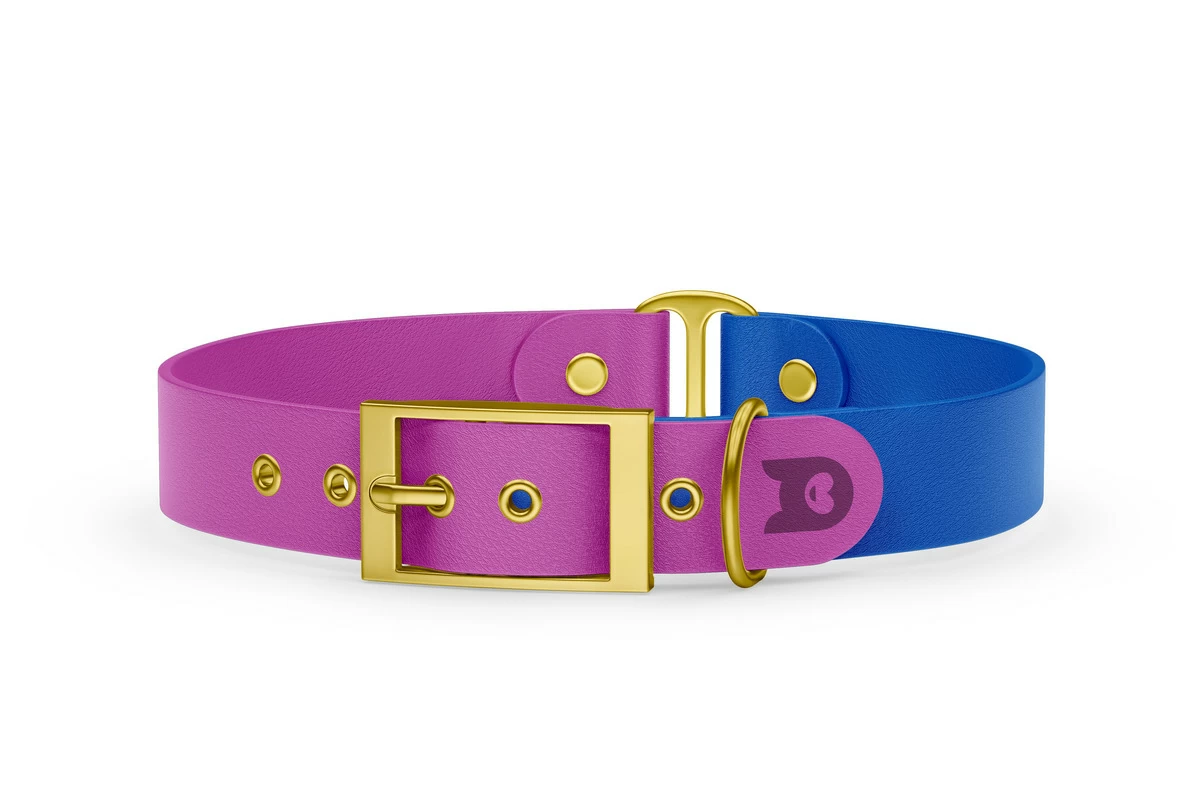 Duo-Halsband für Hunde: Hellviolett & Blau mit Gold-Komponenten