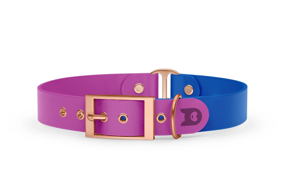 Duo-Halsband für Hunde: Hellviolett & Blau mit Rosegold-Komponenten