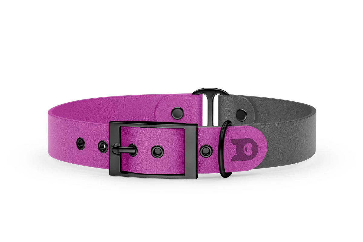 Duo-Halsband für Hunde: Hellviolett & Grau mit Schwarz-Komponenten