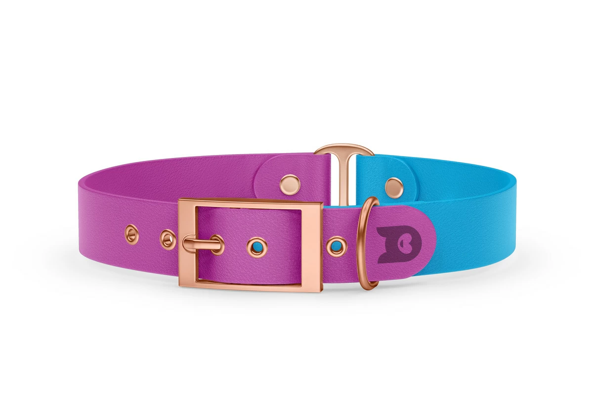 Duo-Halsband für Hunde: Hellviolett & Hellblau mit Rosegold-Komponenten