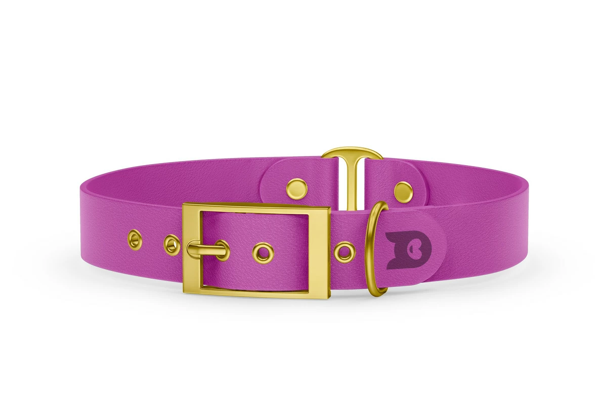 Duo-Halsband für Hunde: Hellviolett & Hellviolett mit Gold-Komponenten