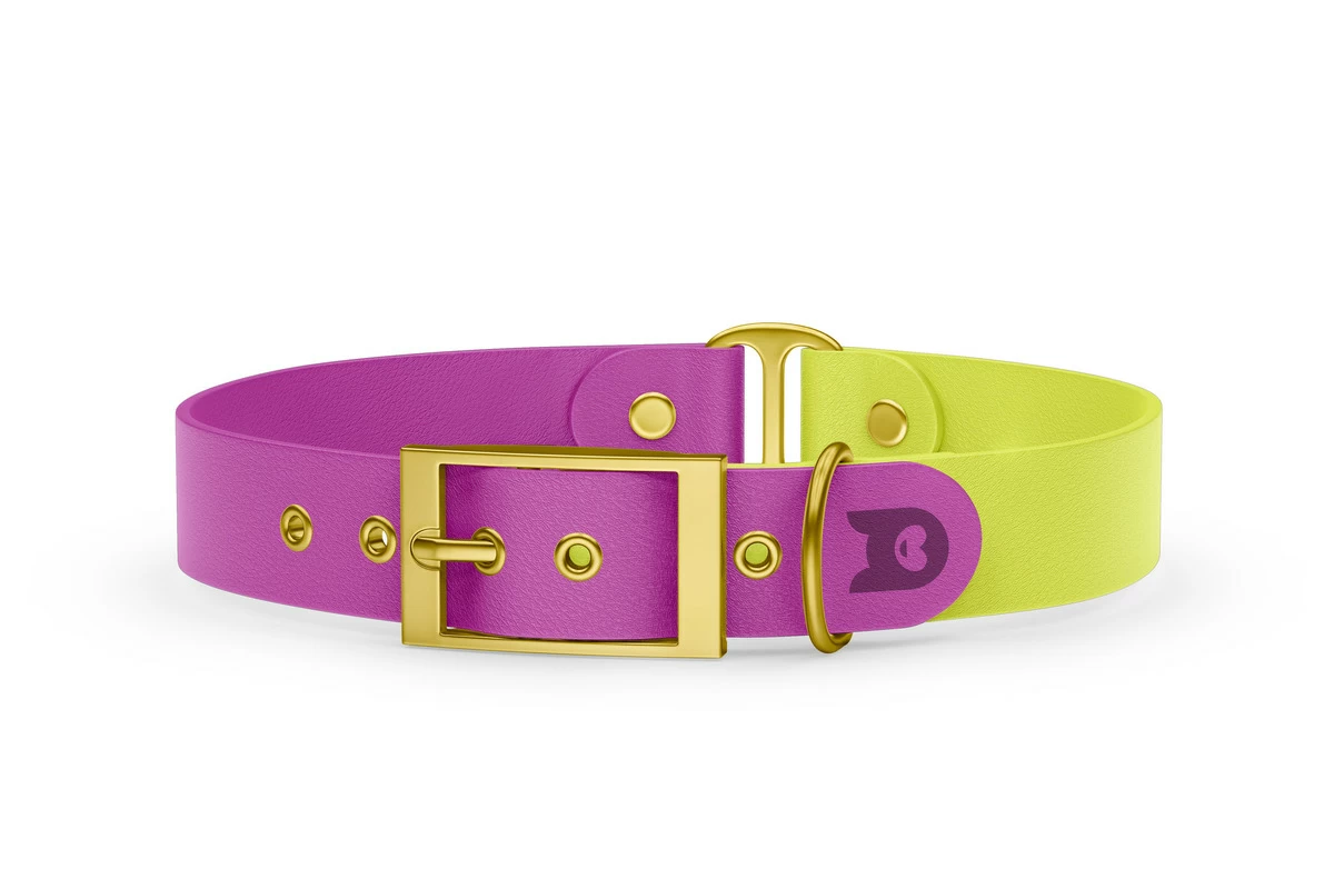 Duo-Halsband für Hunde: Hellviolett & Neongelb mit Gold-Komponenten