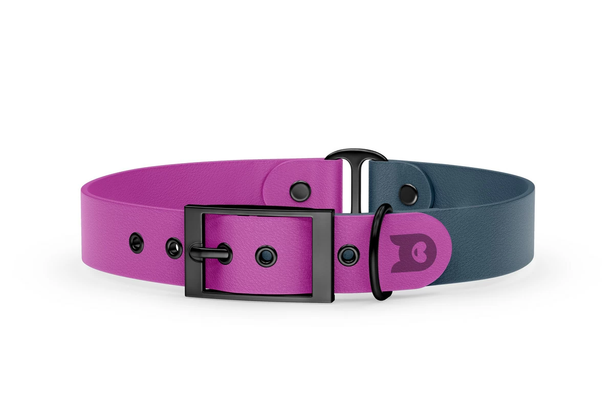 Duo-Halsband für Hunde: Hellviolett & Petrol mit Schwarz-Komponenten