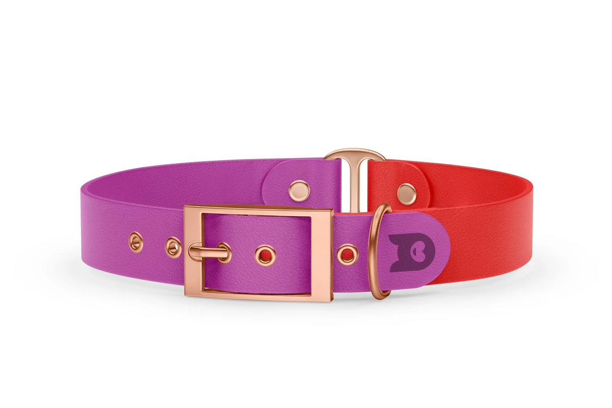Duo-Halsband für Hunde: Hellviolett & Rot mit Rosegold-Komponenten