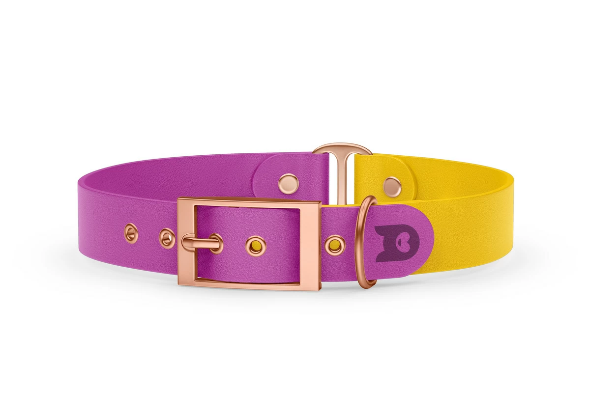 Duo-Halsband für Hunde: Hellviolett & Gelb mit Rosegold-Komponenten