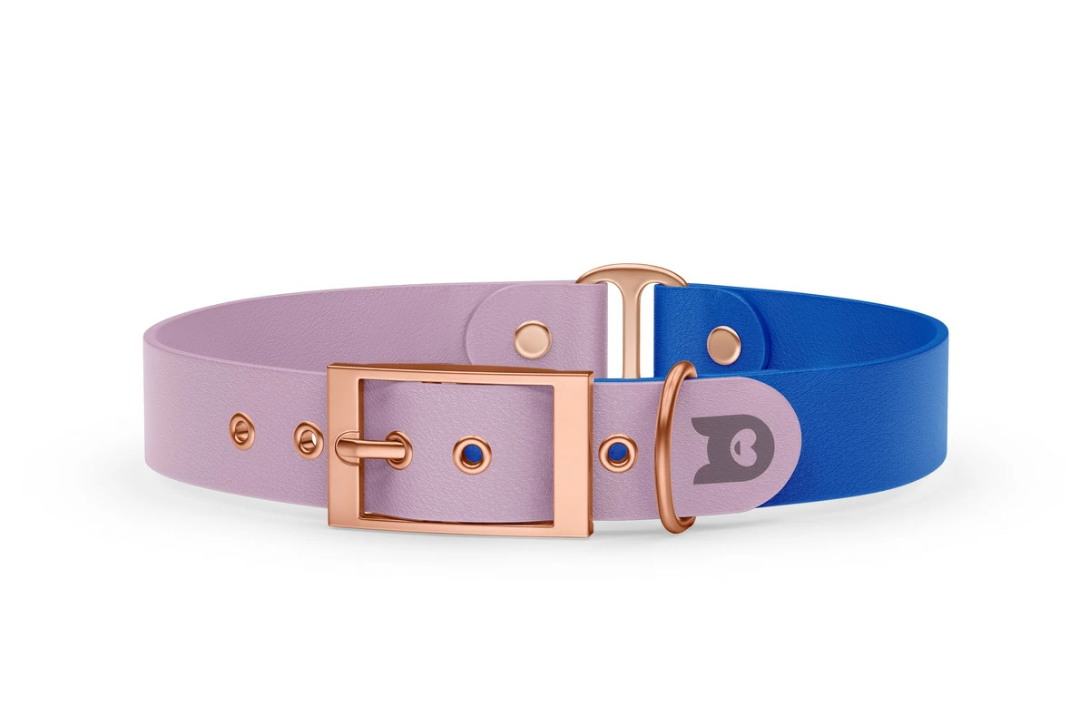 Duo-Halsband für Hunde: Flieder & Blau mit Rosegold-Komponenten