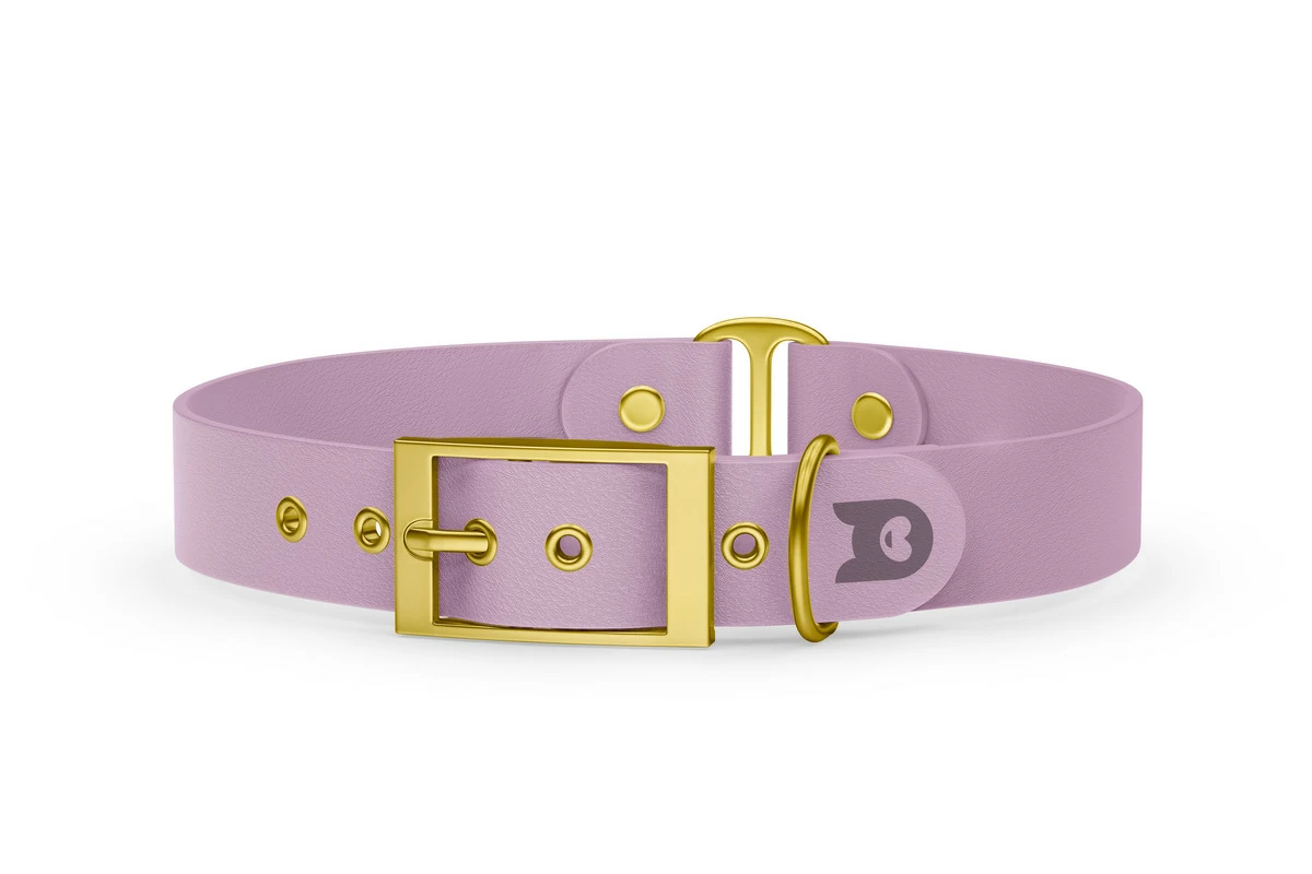 Duo-Halsband für Hunde: Flieder & Flieder mit Gold-Komponenten