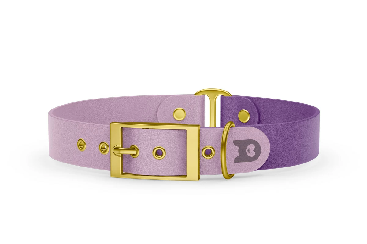 Duo-Halsband für Hunde: Flieder & Purpur mit Gold-Komponenten