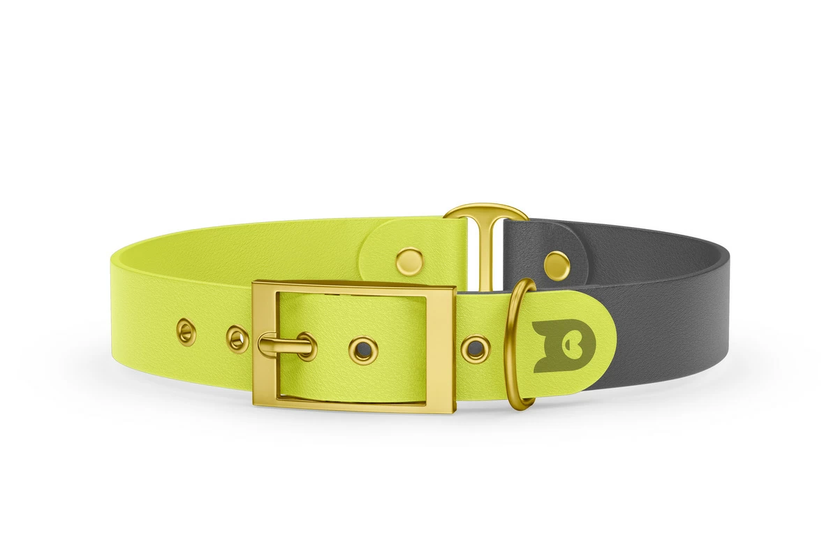 Duo-Halsband für Hunde: Neongelb & Grau mit Gold-Komponenten