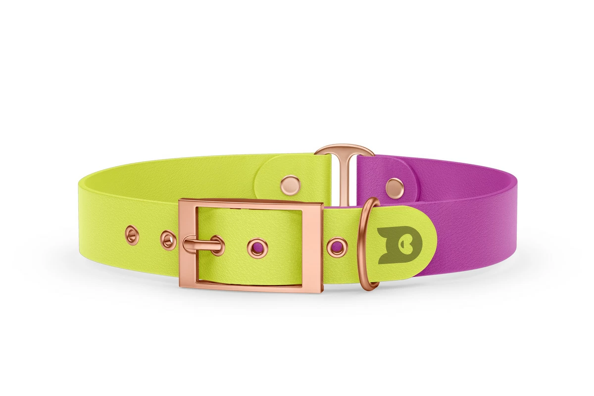 Duo-Halsband für Hunde: Neongelb & Hellviolett mit Rosegold-Komponenten