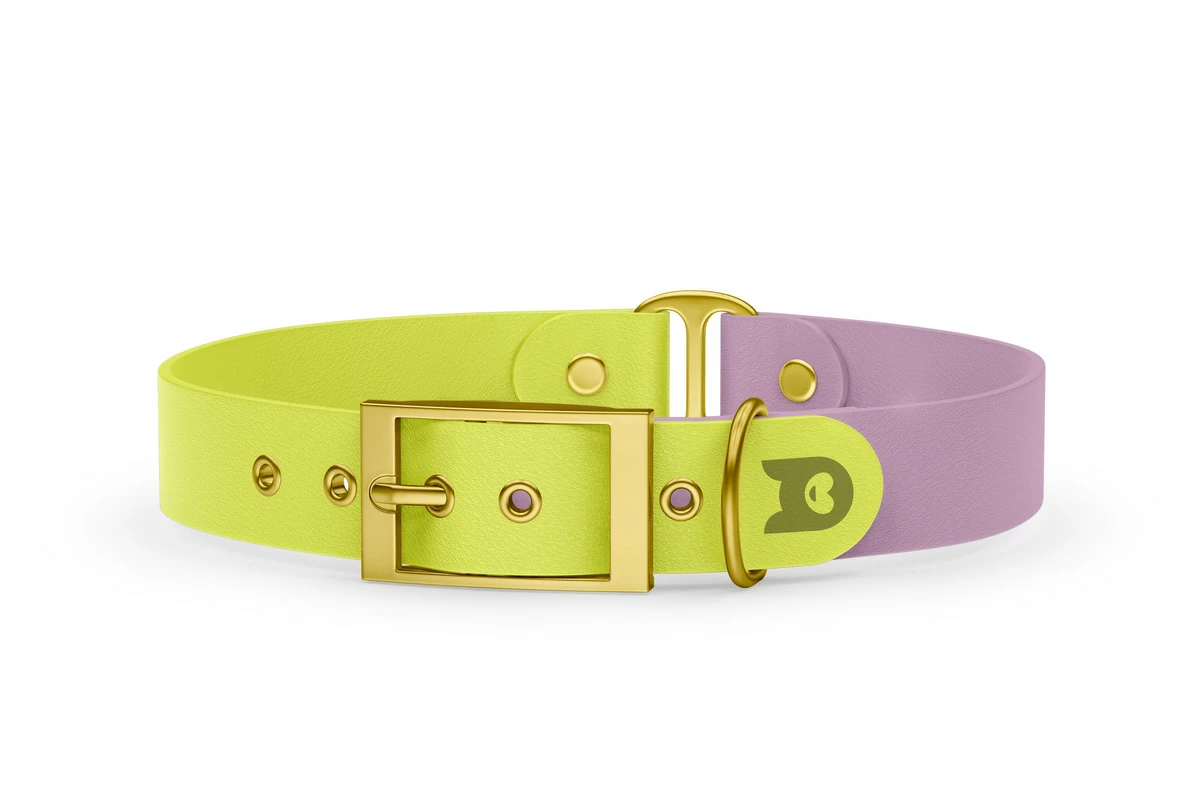 Duo-Halsband für Hunde: Neongelb & Flieder mit Gold-Komponenten