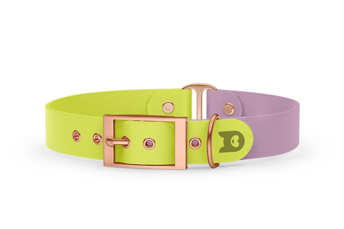 Duo-Halsband für Hunde: Neongelb & Flieder mit Rosegold-Komponenten