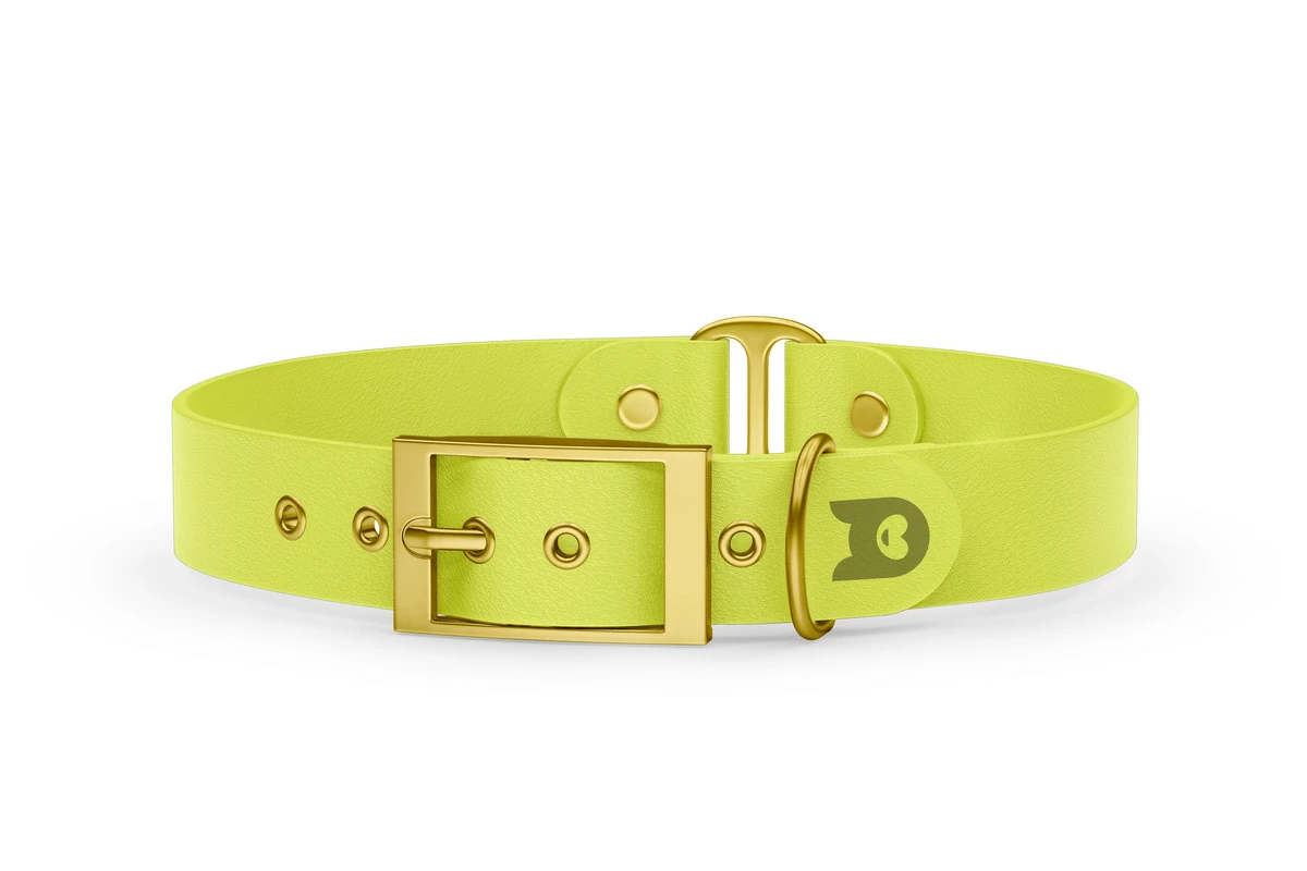 Duo-Halsband für Hunde: Neongelb & Neongelb mit Gold-Komponenten
