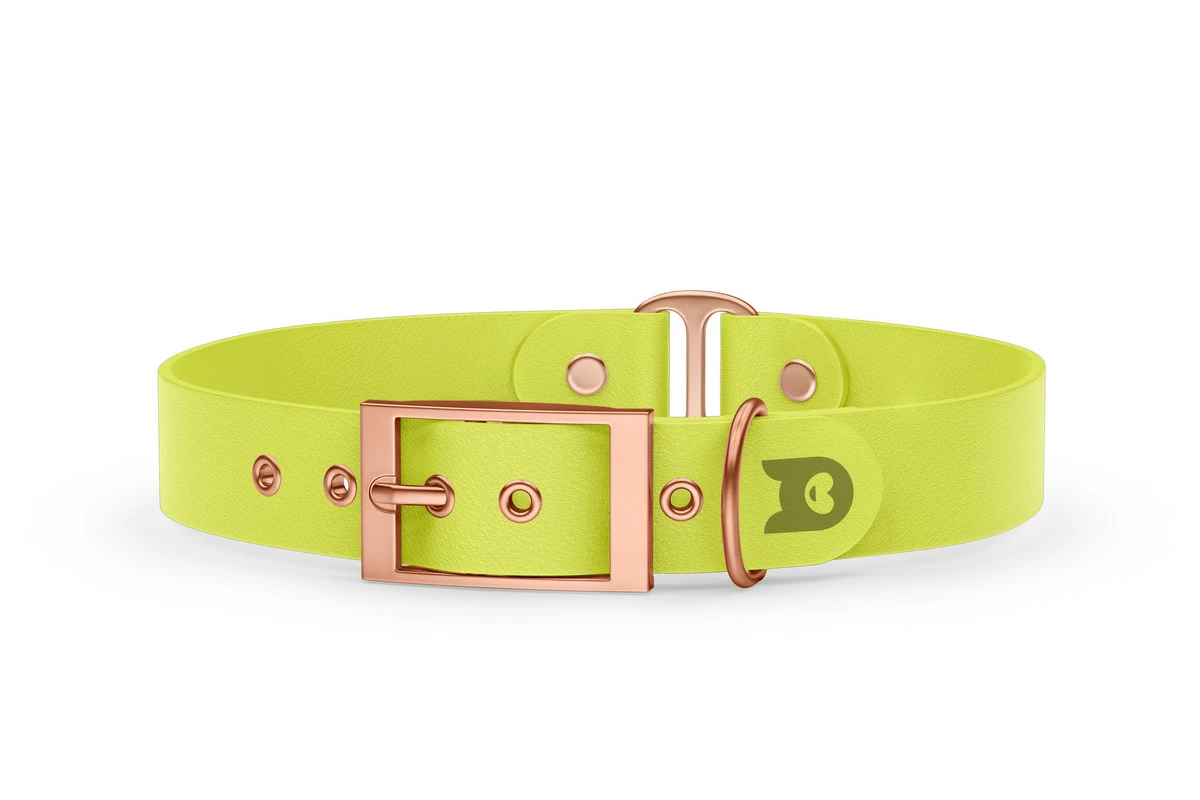 Duo-Halsband für Hunde: Neongelb & Neongelb mit Rosegold-Komponenten