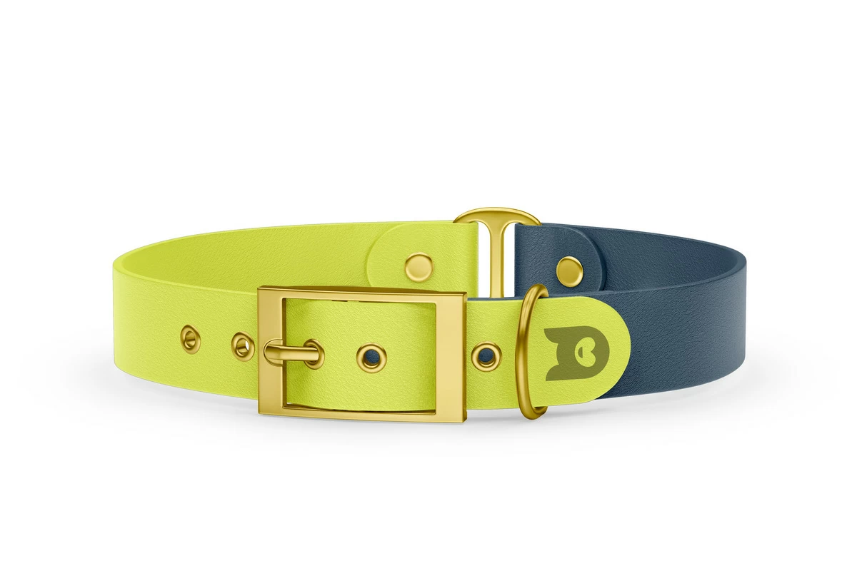 Duo-Halsband für Hunde: Neongelb & Petrol mit Gold-Komponenten