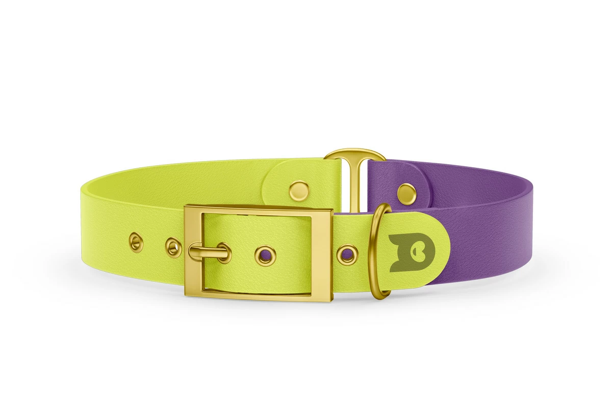 Duo-Halsband für Hunde: Neongelb & Purpur mit Gold-Komponenten
