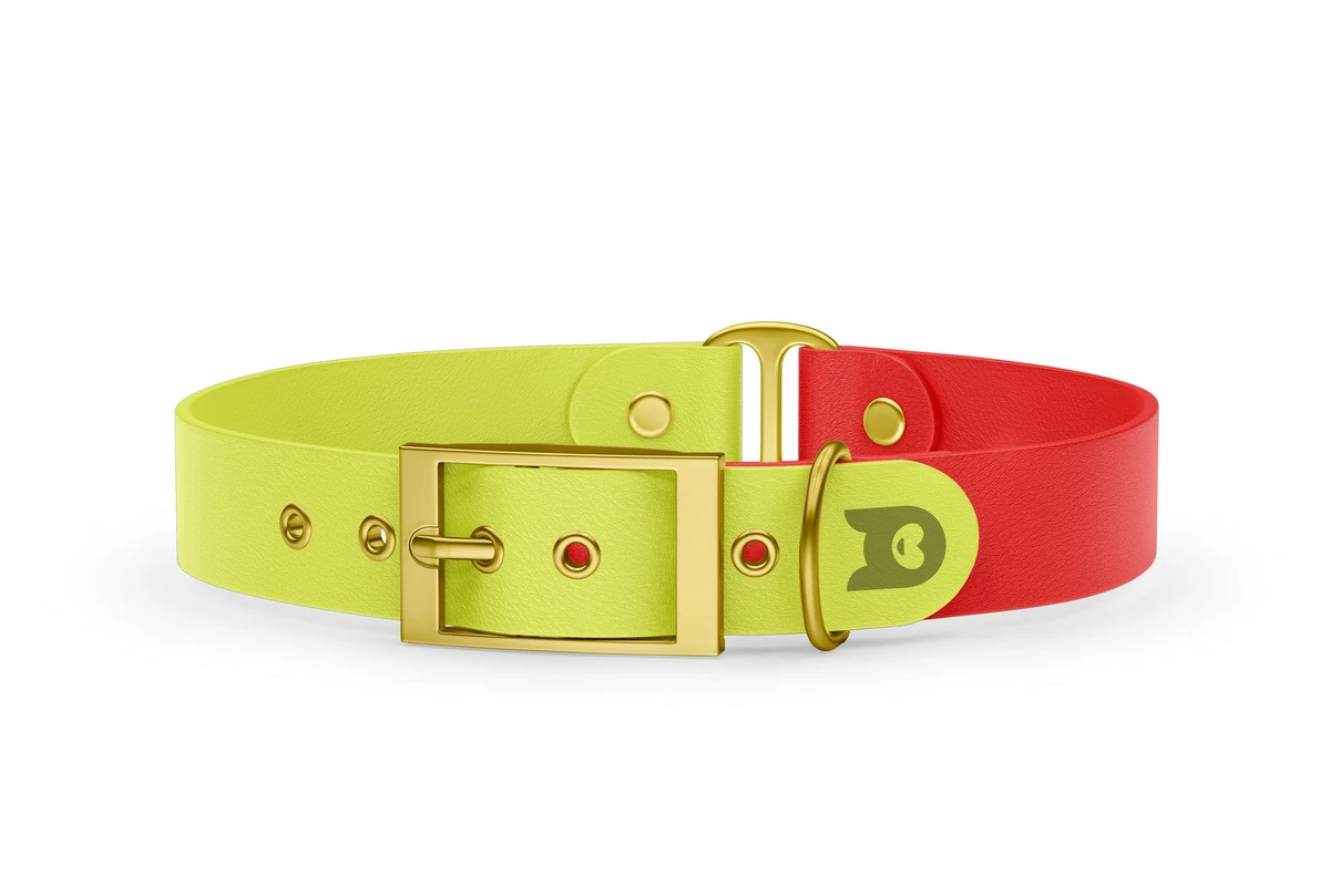Duo-Halsband für Hunde: Neongelb & Rot mit Gold-Komponenten