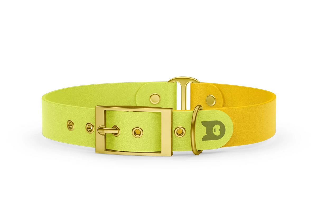 Duo-Halsband für Hunde: Neongelb & Gelb mit Gold-Komponenten