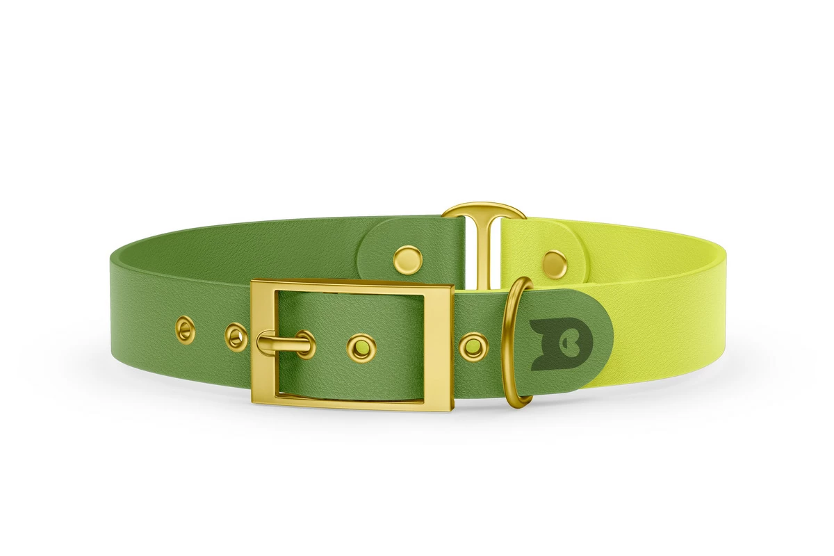 Duo-Halsband für Hunde: Oliv & Neongelb mit Gold-Komponenten