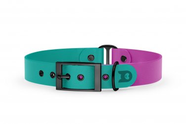 Duo-Halsband für Hunde: Pastellgrün & Hellviolett mit Schwarz-Komponenten