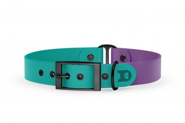 Duo-Halsband für Hunde: Pastellgrün & Purpur mit Schwarz-Komponenten