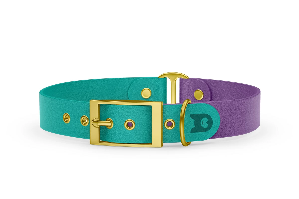 Duo-Halsband für Hunde: Pastellgrün & Purpur mit Gold-Komponenten