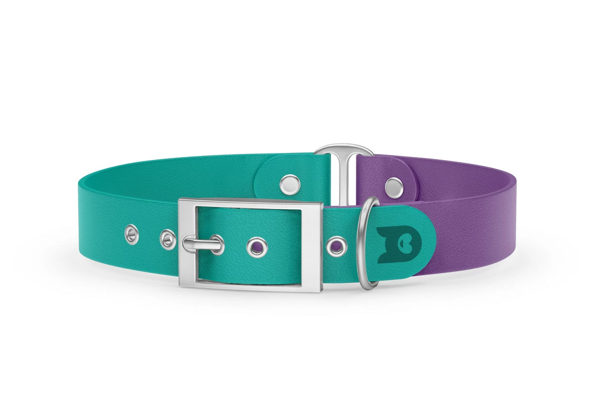 Duo-Halsband für Hunde: Pastellgrün & Purpur mit Silber-Komponenten