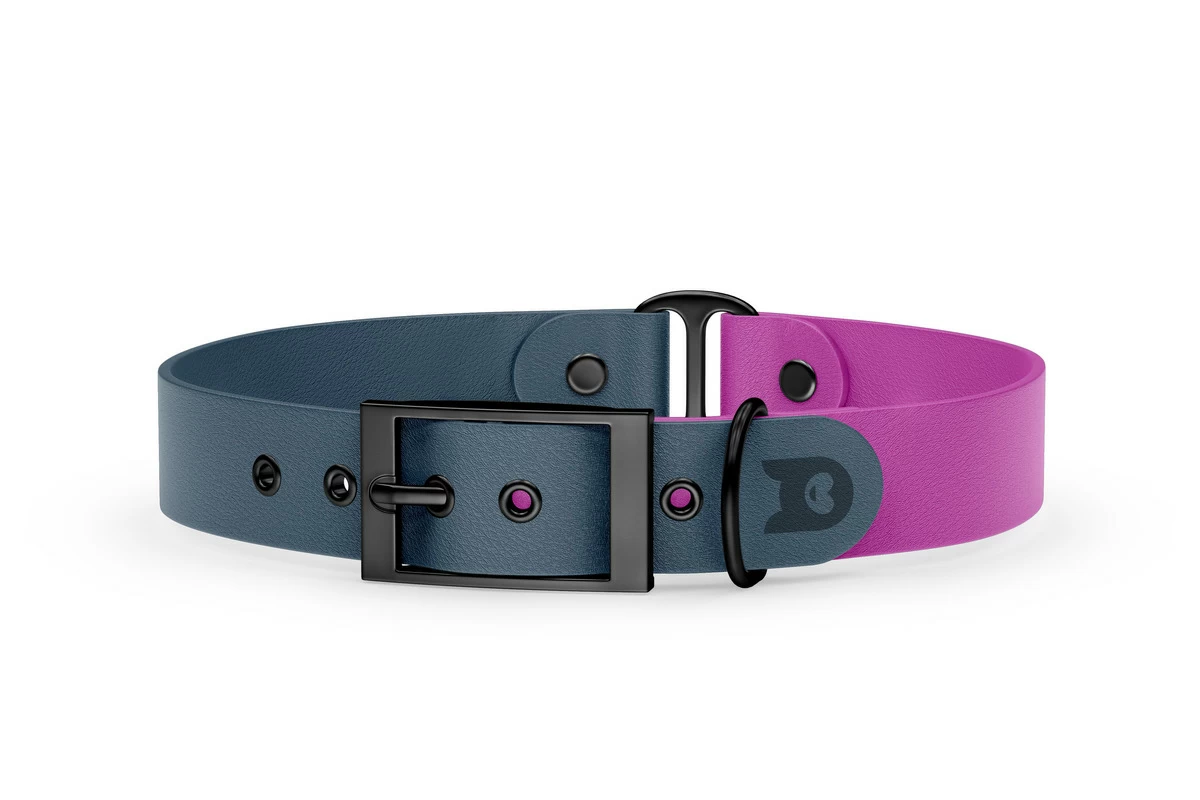 Duo-Halsband für Hunde: Petrol & Hellviolett mit Schwarz-Komponenten
