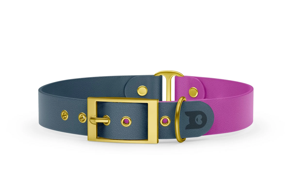 Duo-Halsband für Hunde: Petrol & Hellviolett mit Gold-Komponenten