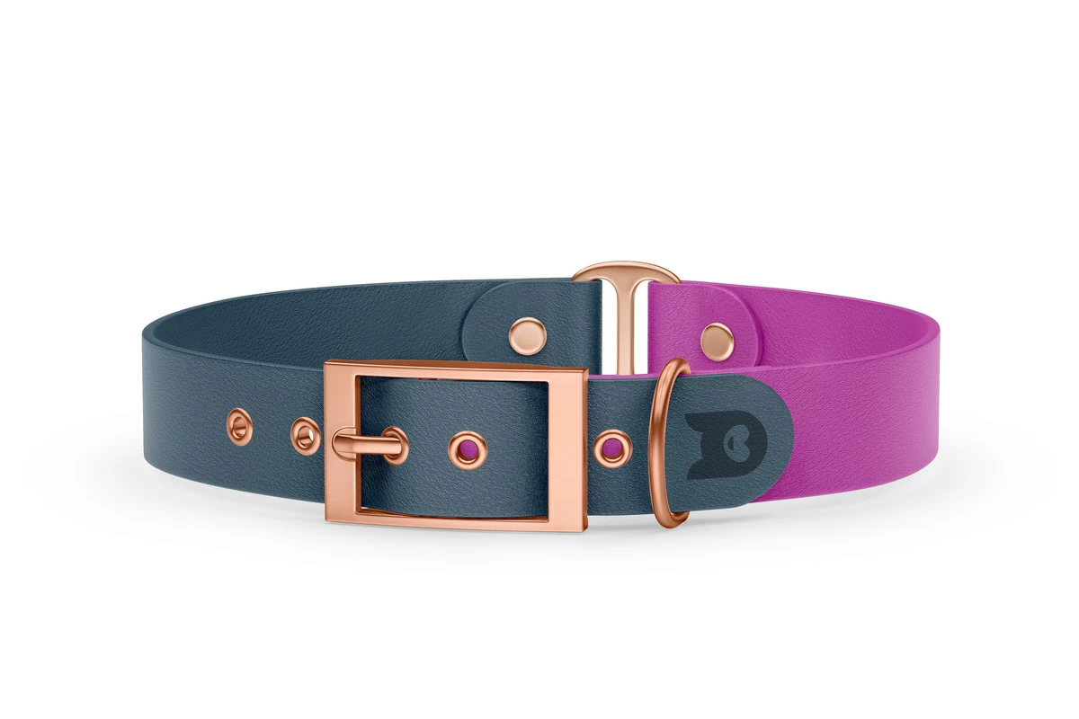Duo-Halsband für Hunde: Petrol & Hellviolett mit Rosegold-Komponenten