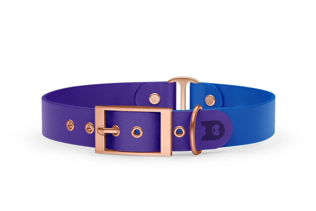 Duo-Halsband für Hunde: Violett & Blau mit Rosegold-Komponenten