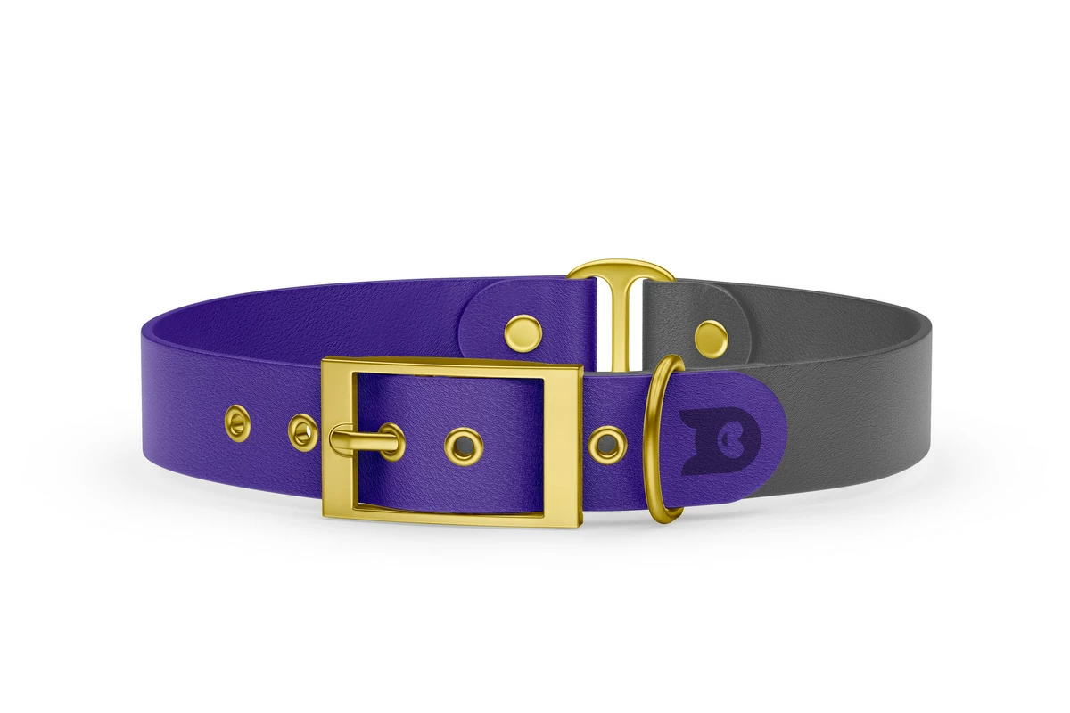 Duo-Halsband für Hunde: Violett & Grau mit Gold-Komponenten