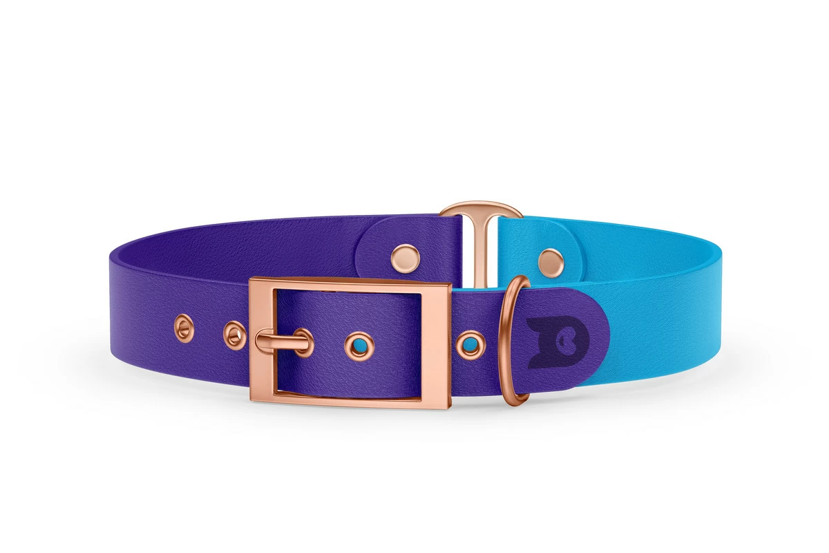 Duo-Halsband für Hunde: Violett & Hellblau mit Rosegold-Komponenten