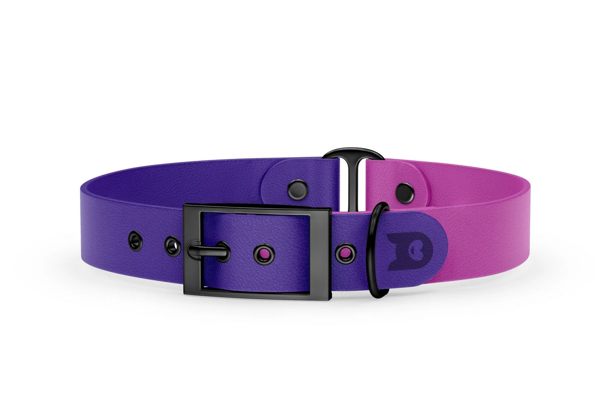 Duo-Halsband für Hunde: Violett & Hellviolett mit Schwarz-Komponenten