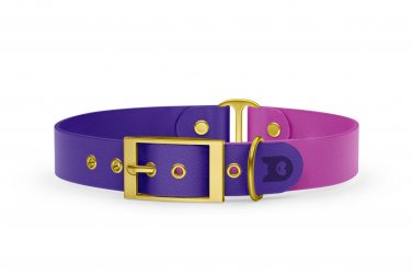 Duo-Halsband für Hunde: Violett & Hellviolett mit Gold-Komponenten